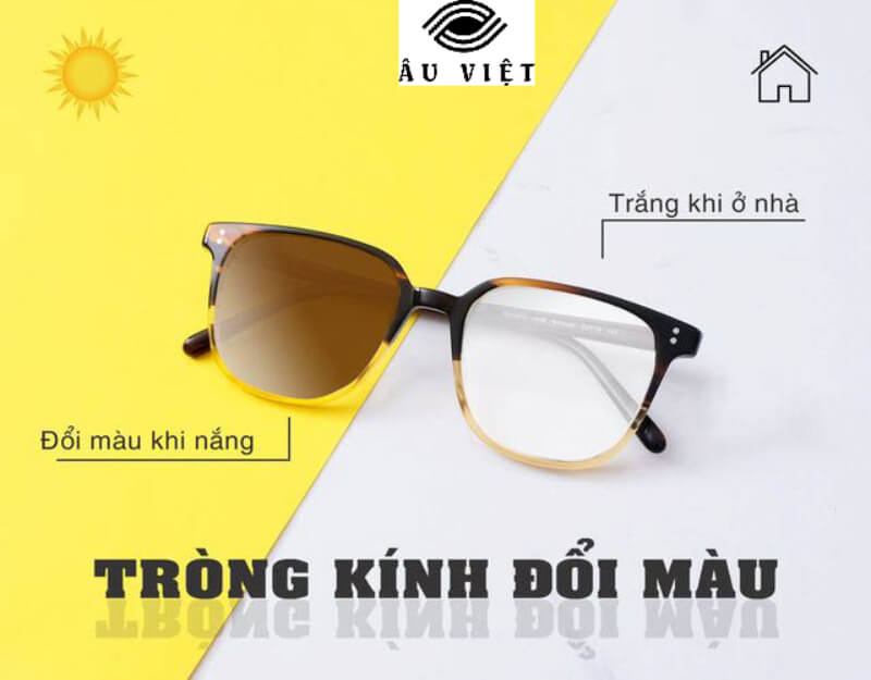 Tròng Đổi màu ánh sáng xanh Hoga 1.56